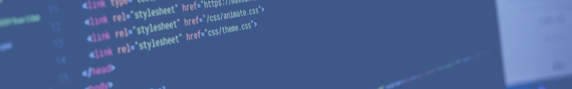Banner_Digitalisation
